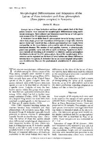 Copeia, 1982(1), ppMorphological Differentiation and Adaptation of the Larvae of Rana berlandieriand Rana sphenocephala (Rana pipiens complex) in Sympatry DAVID M. HILLIS