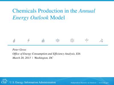 Chemicals Production in the Annual Energy Outlook Model Peter Gross Office of Energy Consumption and Efficiency Analysis, EIA March 20, 2013 | Washington, DC