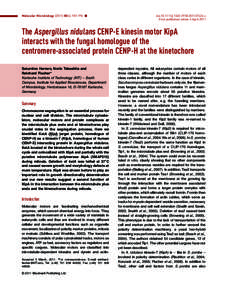 Molecular Microbiology), 981–994 䊏  doi:j07624.x First published online 4 AprilThe Aspergillus nidulans CENP-E kinesin motor KipA