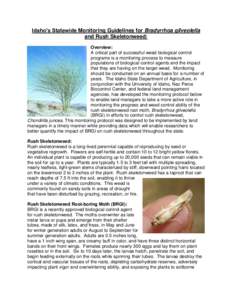 Idaho’s Statewide Monitoring Guidelines for Bradyrrhoa gilveolella and Rush Skeletonweed: Overview: A critical part of successful weed biological control programs is a monitoring process to measure populations of biolo