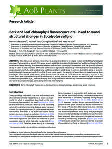 Research Article  Bark and leaf chlorophyll fluorescence are linked to wood