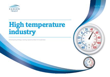 Sector Overview  High temperature industry Introducing energy saving opportunities for business