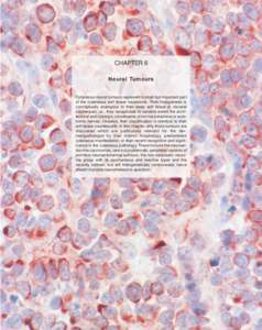 CHAPTER 6 Neural Tumours Cutaneous neural tumours represent a small but important part of the cutaneous soft tissue neoplasms. Their histogenesis is conceptually analogous to their deep soft tissue or visceral