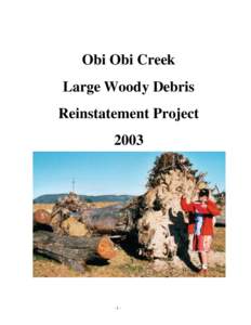 Obi Obi Creek Pryor LWD Project
