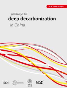 CNRe p o r t  pathways to deep decarbonization in China