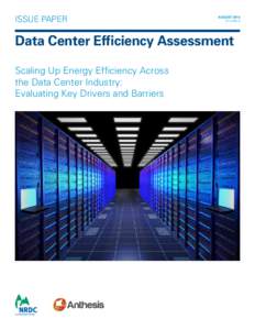 Issue Paper  August 2014 IP:14-08-a  Data Center Efficiency Assessment