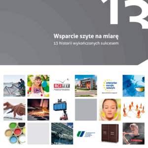 13 historii wykończonych sukcesem  Regionalne Centrum Innowacji i Transferu Technologii (RCIiTT) powstało w 1999 r., w odpowiedzi na potrzeby koordynowania międzynarodowych programów badawczych, realizowanych na Pol