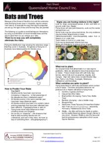 Bats and Trees Because of the threat of Hendra virus and the extensive area that flying foxes cover in Australia, equine owners now have to re-evaluate the way that equine properties are set up, the type of tree and the 