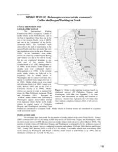 Revised[removed]MINKE WHALE (Balaenoptera acutorostrata scammoni): California/Oregon/Washington Stock STOCK DEFINITION AND GEOGRAPHIC RANGE