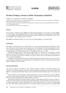 Revision of Malagasy Odontepyris Kieffer (Hymenoptera, Bethylidae)