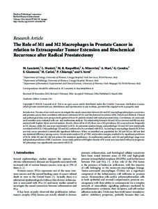 The Role of M1 and M2 Macrophages in Prostate Cancer in relation to Extracapsular Tumor Extension and Biochemical Recurrence after Radical Prostatectomy