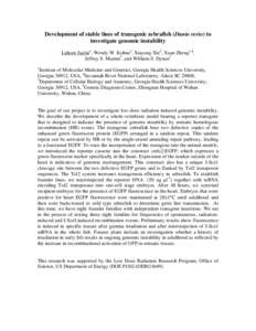 Development of stable lines of transgenic zebrafish (Danio rerio) to investigate genomic instability