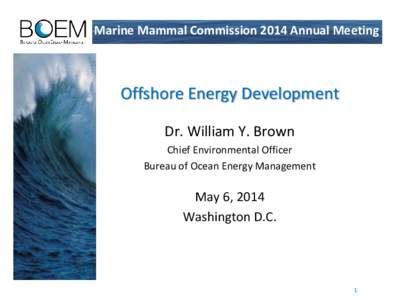 Marine Mammal Commission 2014 Annual Meeting  Offshore Energy Development Dr. William Y. Brown Chief Environmental Officer Bureau of Ocean Energy Management