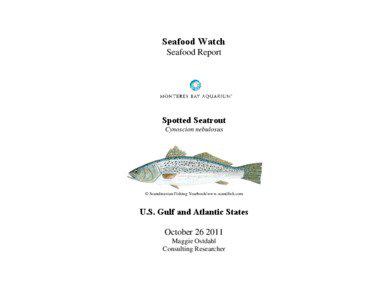 Microsoft Word - MBA_SeafoodWatch_SpottedSeatrout_Report_26Oct2011