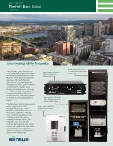 DS-C-FBST[removed]FlexNet Base Station TM  Transceiver