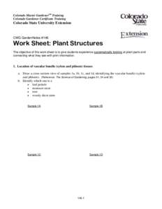 Microsoft Word[removed]WS-Structures.doc