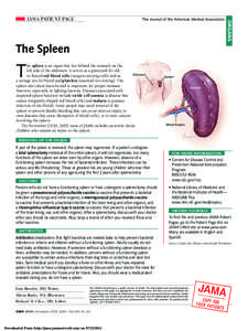 The Journal of the American Medical Association  ORGANS JAMA PATIENT PAGE