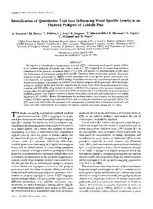 Copyright[removed]by the Genetics Society of America  Identification of Quantitative Trait Loci Influencing Wood Specific Gravityin an Outbred Pedigree of Loblolly Pine A. Groover,* M. Devey,? T. Fiddler,*, J. Lee,* R. Me