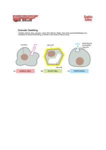 Osmotic Swelling ©1998 by Alberts, Bray, Johnson, Lewis, Raff, Roberts, Walter . http://www.essentialcellbiology.com Published by Garland Publishing, a member of the Taylor & Francis Group.  nucleus