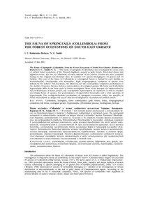 Entomobryidae / Springtail / Arrhopalites / Forest / Isotomiella / Soil / Allacma fusca / Collembola / Taxonomy / Systems ecology