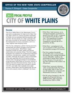 2013 Fiscal Profile - City of White Plains
