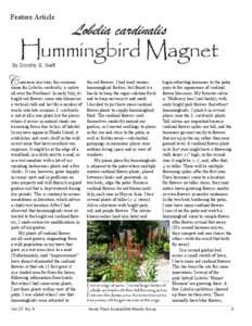 Feature Article  Lobelia cardinalis Hummingbird Magnet