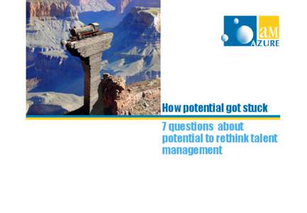 How potential got stuck 7 questions about potential to rethink talent management  In a nut shell