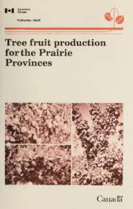 Tree fruit production for the Prairie Provinces