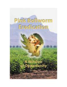 Pink Bollworm Eradication: A Window of Opportunity The pink bollworm is a very destructive cotton insect pest. The National Cotton Council estimates pink bollworm costs Western cotton producers an estimated $21.6 millio