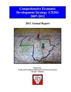 Comprehensive Economic Development Strategy (CEDS[removed]Annual Report  Prepared by: