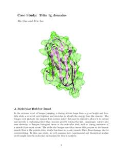 Case Study: Titin Ig domains Mu Gao and Eric Lee A Molecular Rubber Band In the extreme sport of bungee jumping, a daring athlete leaps from a great height and freefalls while a tethered cord tightens and stretches to ab