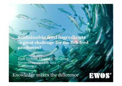 Is feed a sustainability issue for the aquaculture value chain?