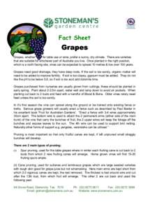 Fact Sheet  Grapes Grapes, whether for table use or wine, prefer a sunny, dry climate. There are varieties that are suitable for whichever part of Australia you live. Once planted in the right position,