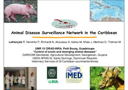 Animal Disease Surveillance Network in the Caribbean Lefrançois T, Hendrikx P, Ehrhardt N, Ahoussou S, Kalloo M, Shaw J, Martinez D, Trotman M UMR 15 CIRAD-INRA, Petit Bourg, Guadeloupe “Control of exotic and emerging