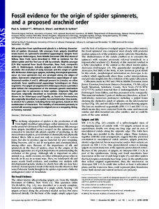 Fossil evidence for the origin of spider spinnerets, and a proposed arachnid order Paul A. Seldena,b,1, William A. Shearc, and Mark D. Suttond