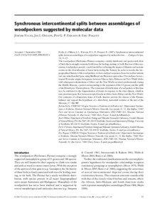 Synchronous intercontinental splits between assemblages of woodpeckers suggested by molecular data