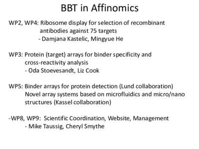 BBT in Affinomics WP2, WP4: Ribosome display for selection of recombinant antibodies against 75 targets - Damjana Kastelic, Mingyue He WP3: Protein (target) arrays for binder specificity and cross-reactivity analysis