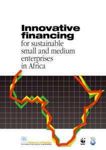 Innovative financing for sustainable small and medium enterprises in Africa