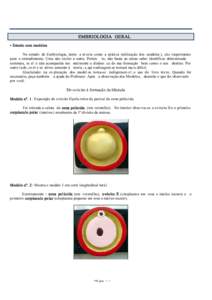 EMBRIOLOGIA GERAL • Estudo com modelos No estudo de Embriologia, tanto a te oria como a práti ca (utilização dos modelos ), são importantes para o entendimento. Uma não exclui a outra. Portan to, não basta ao alu