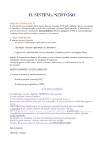 IL SISTEMA NERVOSO ORIGINE EMBRIONALE: Il sistema nervoso si origina dalla piastra neurale, presente al PA dell’embrione. Questa man mano si ispessisce e forma le pieghe neurale che si uniranno a formare il tubo neural