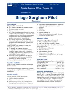 Topeka Regional Office CO Silage Sorghum Pilot