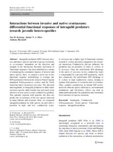 Gammaridea / Biology / Gammarus / Behavior / Intraguild predation / Amphipoda / Dikerogammarus villosus / Predation / Ecology