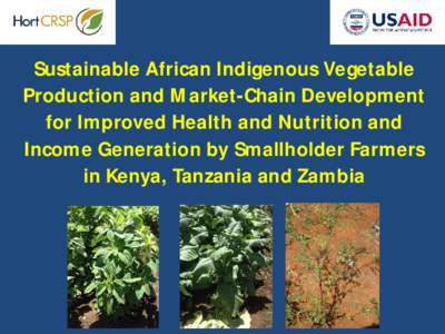 Sustainable African Indigenous Vegetable Production and Market-Chain Development for Improved Health and Nutrition and Income Generation by Smallholder Farmers in Kenya, Tanzania and Zambia