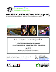 Frenchman River Biodiversity Project Mollusca (Bivalves and Gastropods) (as part of a biodiversity inventory of the Frenchman River, Southwestern Saskatchewan)