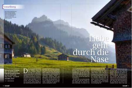 Vorarlberg Die Vorsäß Schönenbach bei Bizau im Bregenzerwald. Auf der Vorsäß weidet das Vieh in der Übergangszeit, wenn es auf den hochgelegenen Almen noch oder
