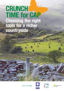 time for CAP Choosing the right tools for a richer countryside  2 C r unch ti m e f o r C A P