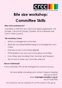 Bitesize Committee Skills general poster