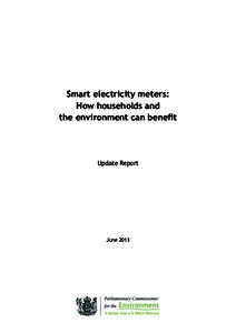 1  Smart electricity meters: How households and the environment can benefit