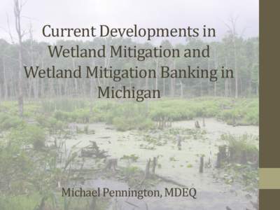 Current Developments in Wetland Mitigation and Wetland Mitigation Banking in Michigan  Michael Pennington, MDEQ