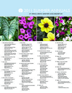 2011 SUMMER ANNUALS www.springgrove.org